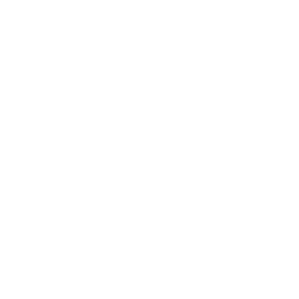 Ícono del modo Sport del Corvette ZR1X